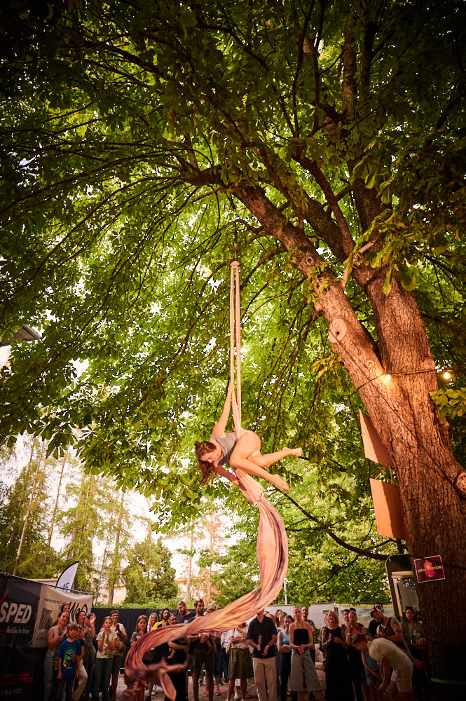 Aerial Passion