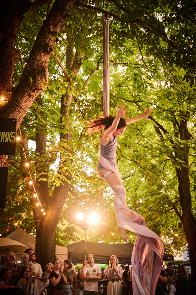 Aerial Passion