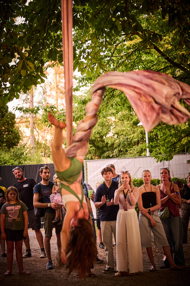 Aerial Passion