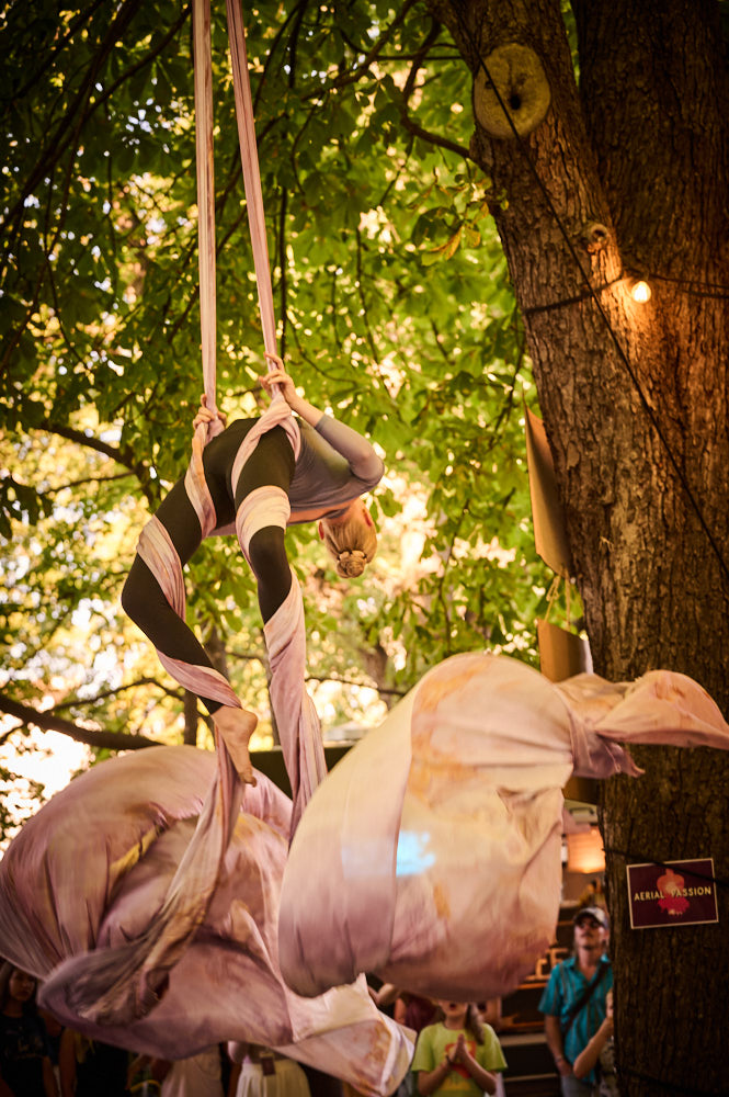 Aerial Passion