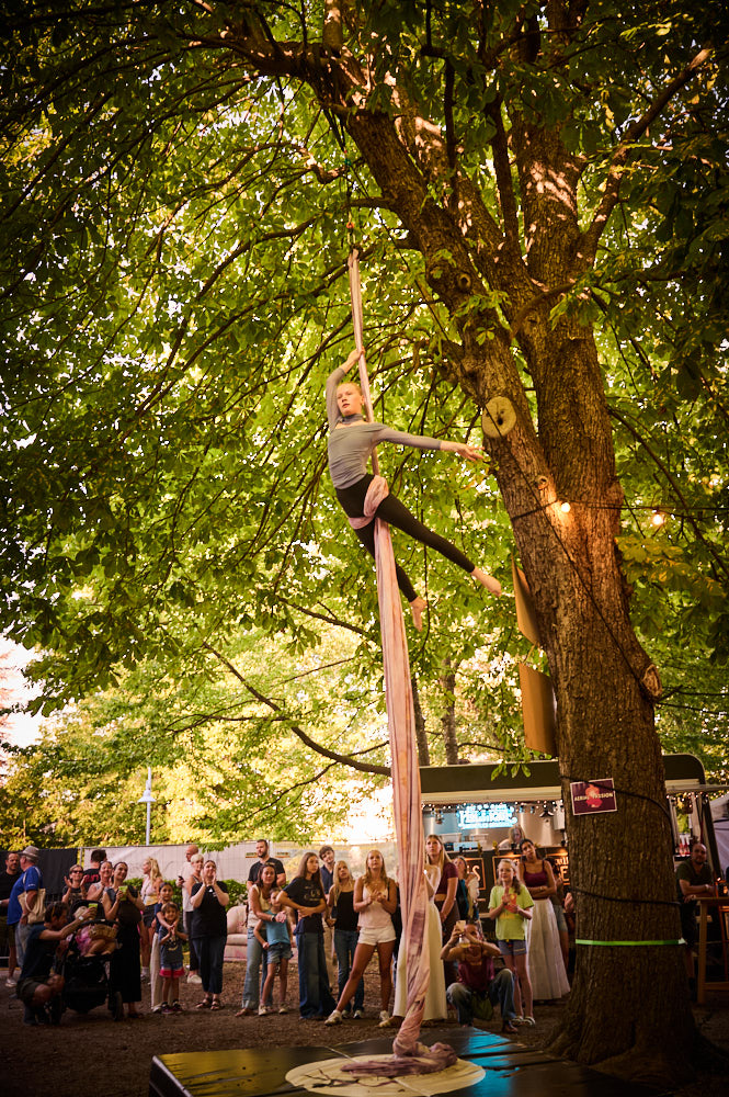 Aerial Passion