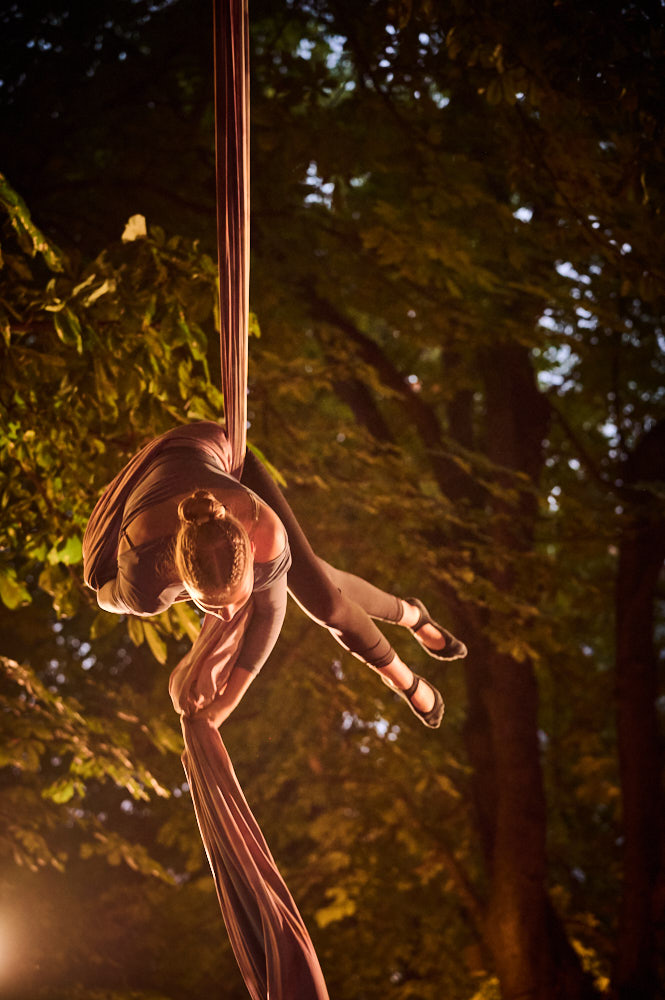 Aerial Passion