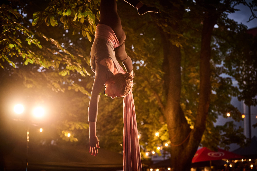 Aerial Passion