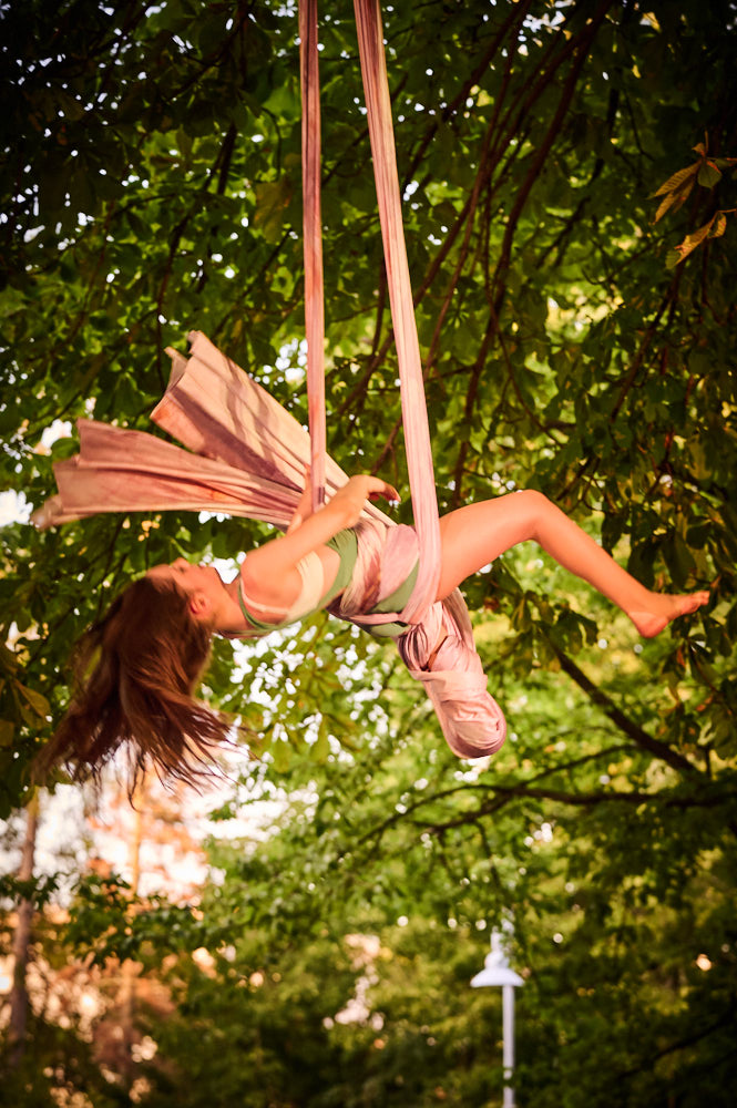 Aerial Passion