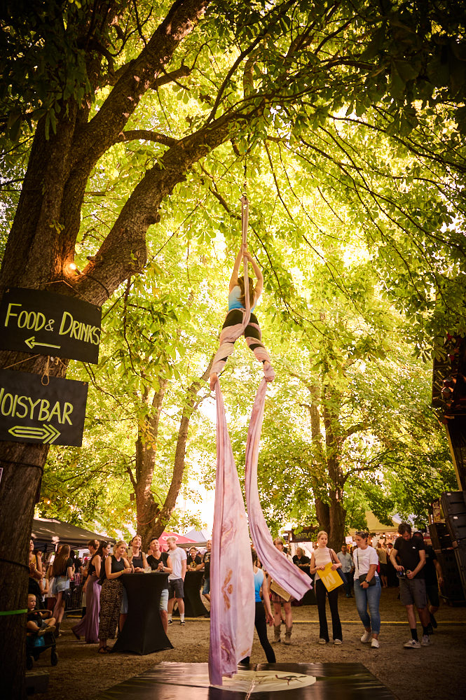 Aerial Passion