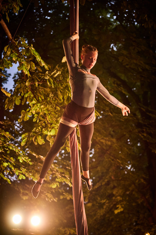 Aerial Passion
