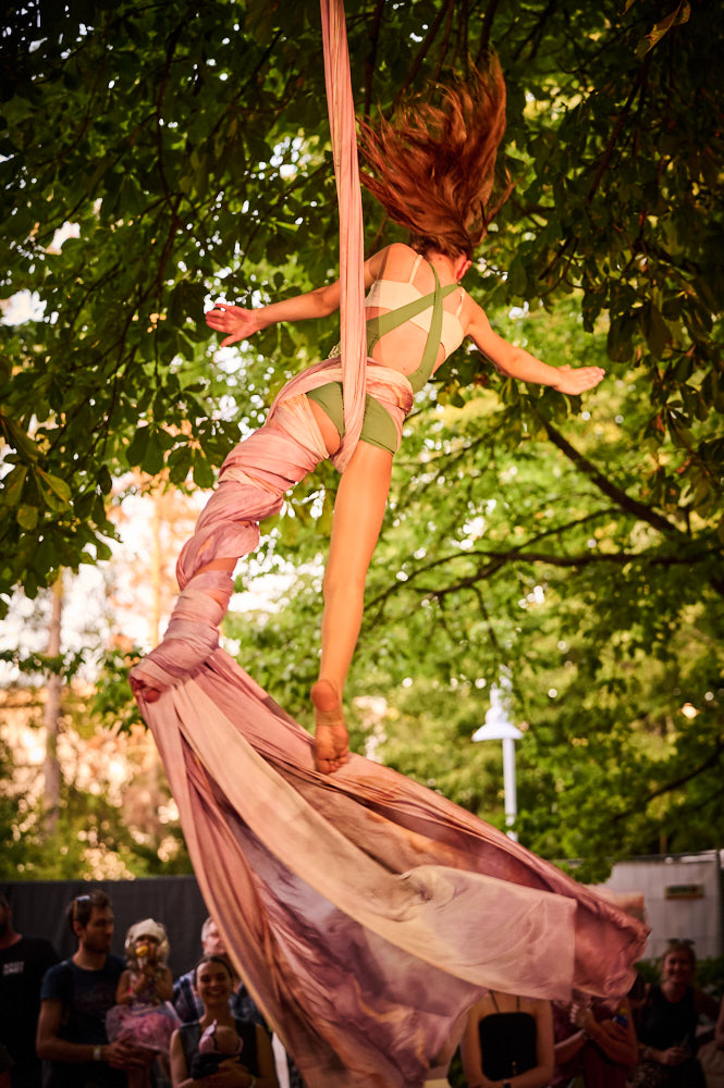 Aerial Passion